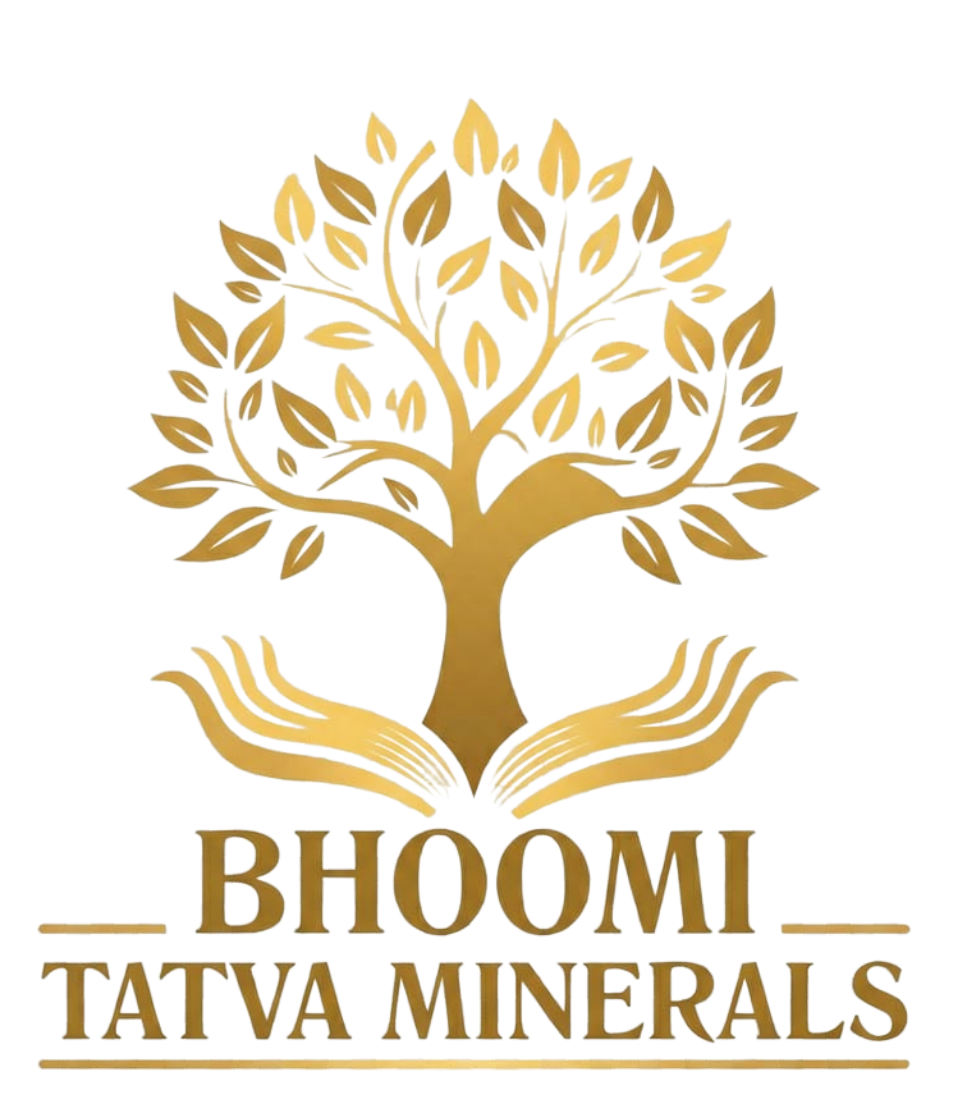 bhoomitatva.com
